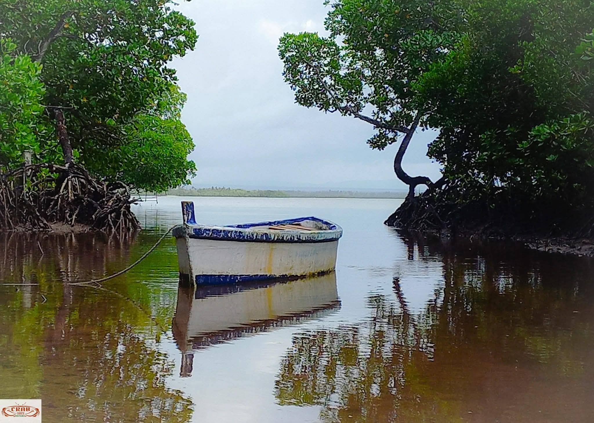 FB_IMG_1770288841387