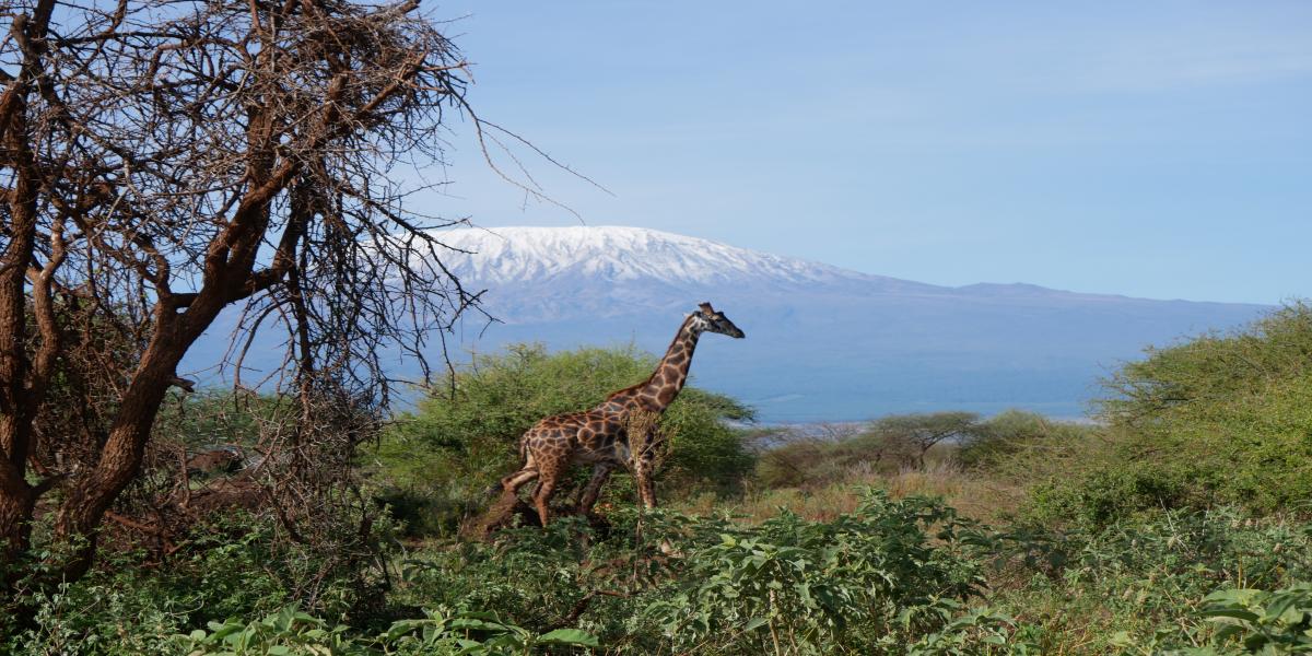 XResize_20260203160517120