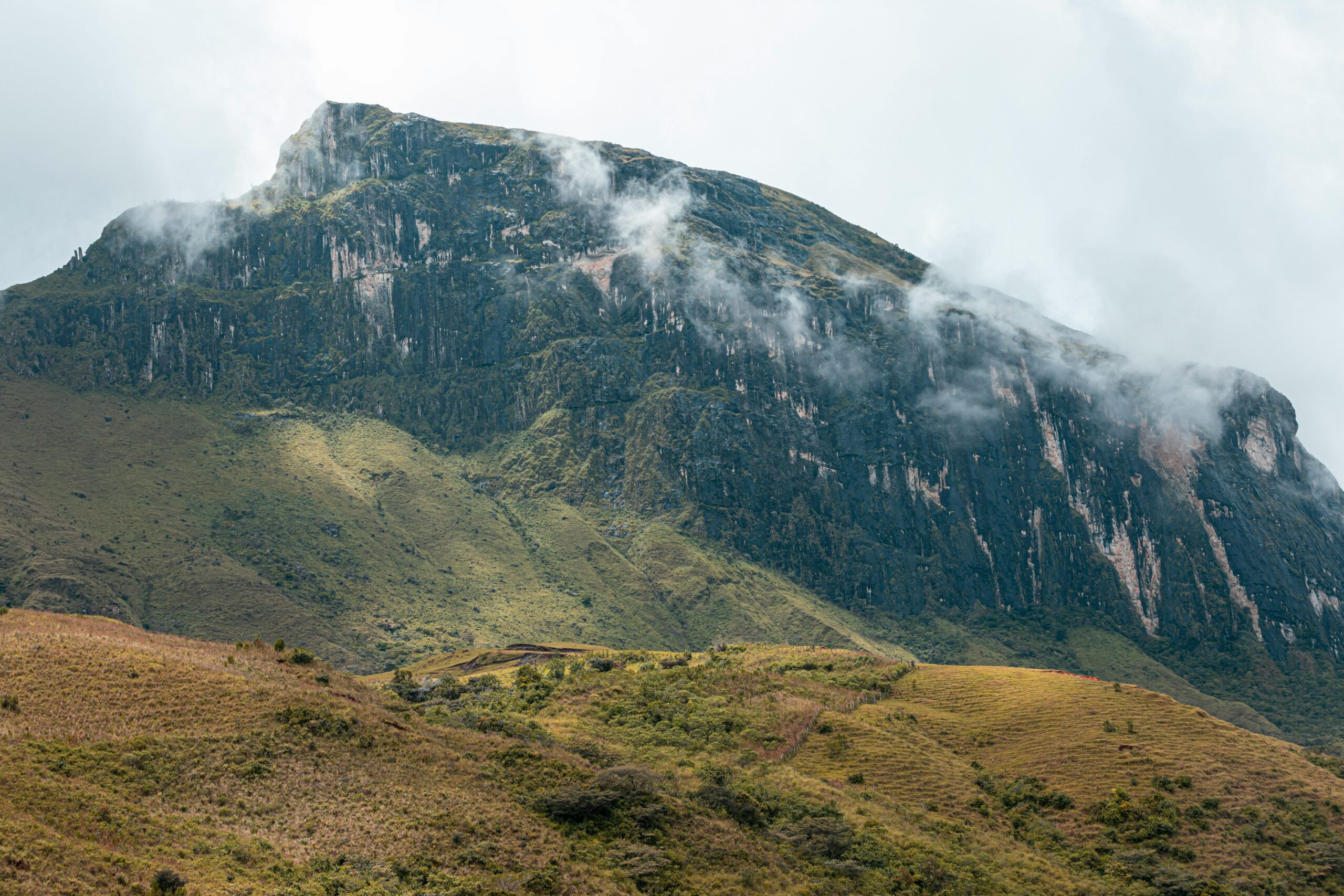 pexels-johan-element-685226174-17991607